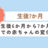 育児日記　生後6か月から7か月での赤ちゃんの変化