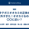 タテガミオオカミの正体が意外すぎた！オオカミなのに〇〇に近い？