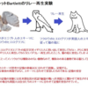 トラウマ、苦い思い出を忘れる方法。