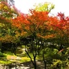 本当は教えたくない「紅葉の京都」