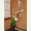 春の夜│花信