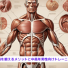 『大腰筋を鍛えるメリットと中高年男性向けトレーニング法』
