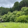 土が活きた生き物をいただく。その繰り返しなのだ。