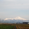 ◆'18/12/23        鳳来山①…「開拓付近を下見に」と向かったが。