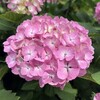 その問題をつくったのが自分自身だとしたら、それを自分で解決することもできるはず。