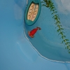 リセットせずに通常の水換えを行う