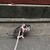 まろにー3988日目