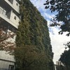 大横川