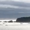 和歌山県の太地での鯨類追い込み網漁。4日連続の漁の成功です。9月2日、3日、4日、5日に。＼(^o^)／。／仙台の水産展示会で鯨料理でました。／「松岡修造のくいしん坊！万才」に鯨汁の調理。／ハナゴンドウのお刺身