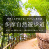 多摩自然遊歩道〜豊かな自然、竹林が美しい気軽なハイキングのすすめ〜