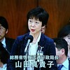 総務省情報流通行政局長の山田真貴子さん - 2018年3月23日