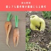 「農業×DAO」編～超レアな〝農作物〟をDAO型コミュニティのトークンにする！～