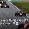 【ネタバレアリ】F1 2019 メルセデス・ベンツ・ドイツGP予選を観た話。