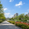 友人の引っ越し先選びで学んだこと。住みやすい街には理由がある
