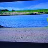 ギャラリーN神田社宅の折原智恵展「続・死なないセレモニー」を見る