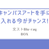 文ストBlu-ray BOX/キャンバスアートを手に入れる今がチャンス!