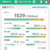 【マイナス15キロ】100日ダイエット69日目👿ボケて体調わるくなった日の1日