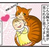 猫と赤ちゃんの生活①