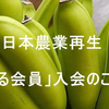 恐るべし！　野菜類は一石三鳥の働きをしてる 