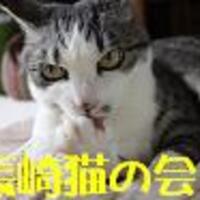 eye7iの猫＆WildBird