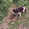 バトンがやっちまう