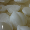 『季節の和菓子から・・・　金花糖づくり』