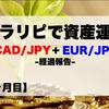 【11ヶ月目】トラリピ30万円資産運用結果報告