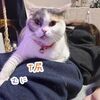 麗しき～肉球の世界へ～ようこそ☆