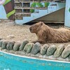 バイクで訪園館：万力公園 ふれあい動物広場