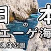 【和歌山ドライブ】道の駅「白崎海洋公園」で絶品しらす丼！白い岩と美しい海岸も堪能しちゃいました！
