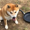 裏山にトリュフが眠っているかも知れない？という話･･･①