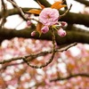 過去3年間の合格者に共通していたこと