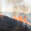 林野火災相次ぎ１人けが　阿蘇市