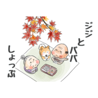 今日は何の日 ジジとババ 一コマ漫画 謝罪 がーこねりーろぐ 今日は何の日 ジジとババ 一コマ漫画 謝罪 がーこねりーろぐ