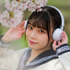 桜花爛漫  惜しむ春❣️ なるはちゃん その42 ─ リクエスト撮影 2024.4.11 松川周辺 ─