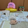 ハムスターくりちゃんの部屋んぽタイム