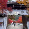 京都紅葉の旅(二日目)
