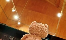 記事を見る