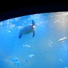 京都水族館