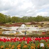 国営みちのくの杜湖畔公園（宮城県川崎町）訪問記