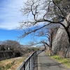 立川崖線に沿って歩く その３ 立川錦町から昭島拝島町へ