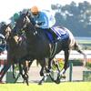 競馬初心者必見☆馬券予想🔥〜秋華賞〜ソダシが勝つ姿を見たい！！〜