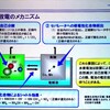 自己放電