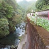 生憎の雨となりました。