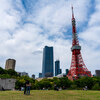 東京タワーの見える公園