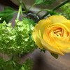 明日こそは