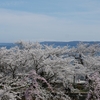 のとさくら駅・立山連峰・満開ソメイヨシノ