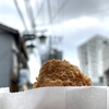 【川崎】「肉の鈴松」のコロッケを食べる