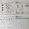 4歳娘の知育の記録313日目（2017年11月13日から11月19日）