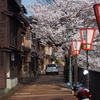 茶屋街の桜「主計町」2018